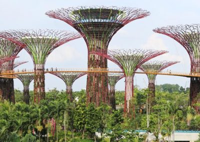 Gardens of the Bay